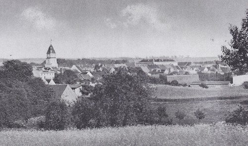 Zielenzig sulęcin blick zur - zielenzig/,