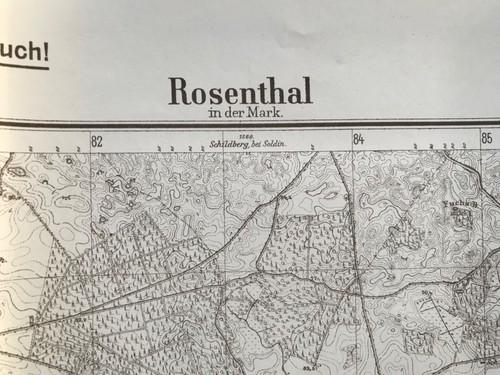Rosenthal mark rożnowo - rosenthal, i.d.